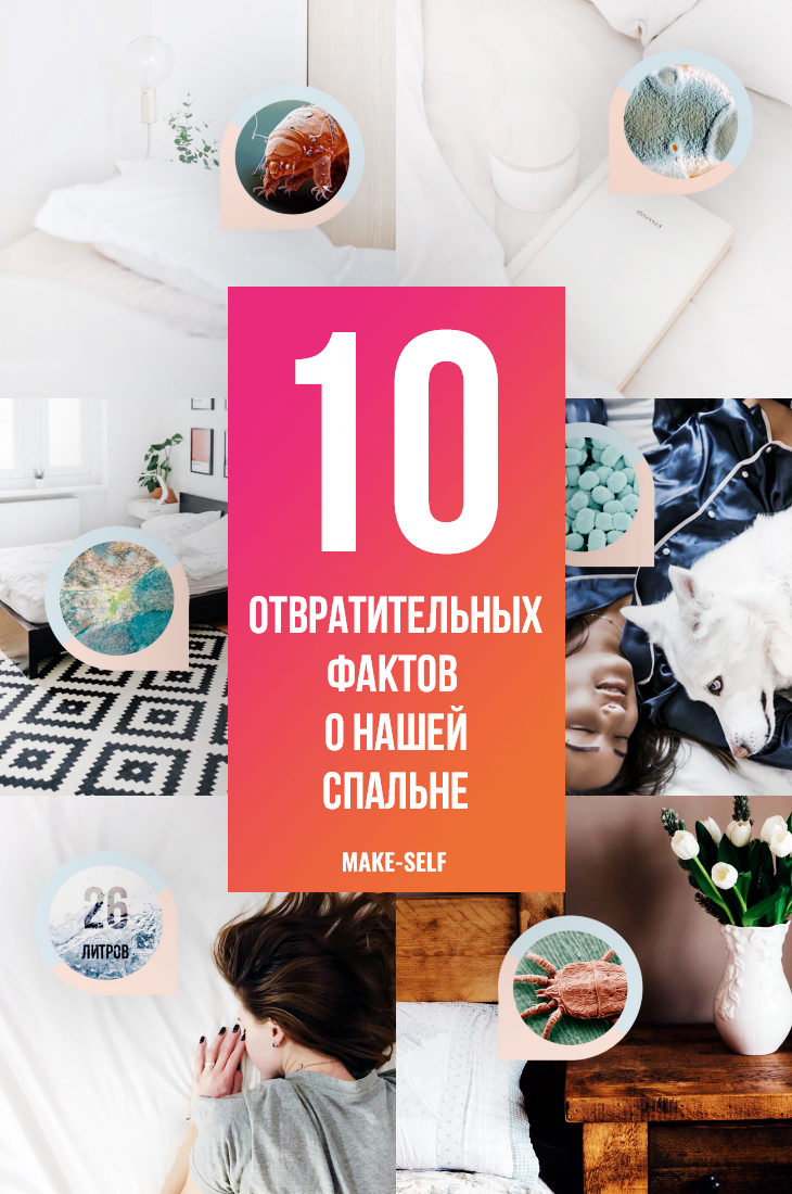 10 отвратительных фактов о нашей спальне