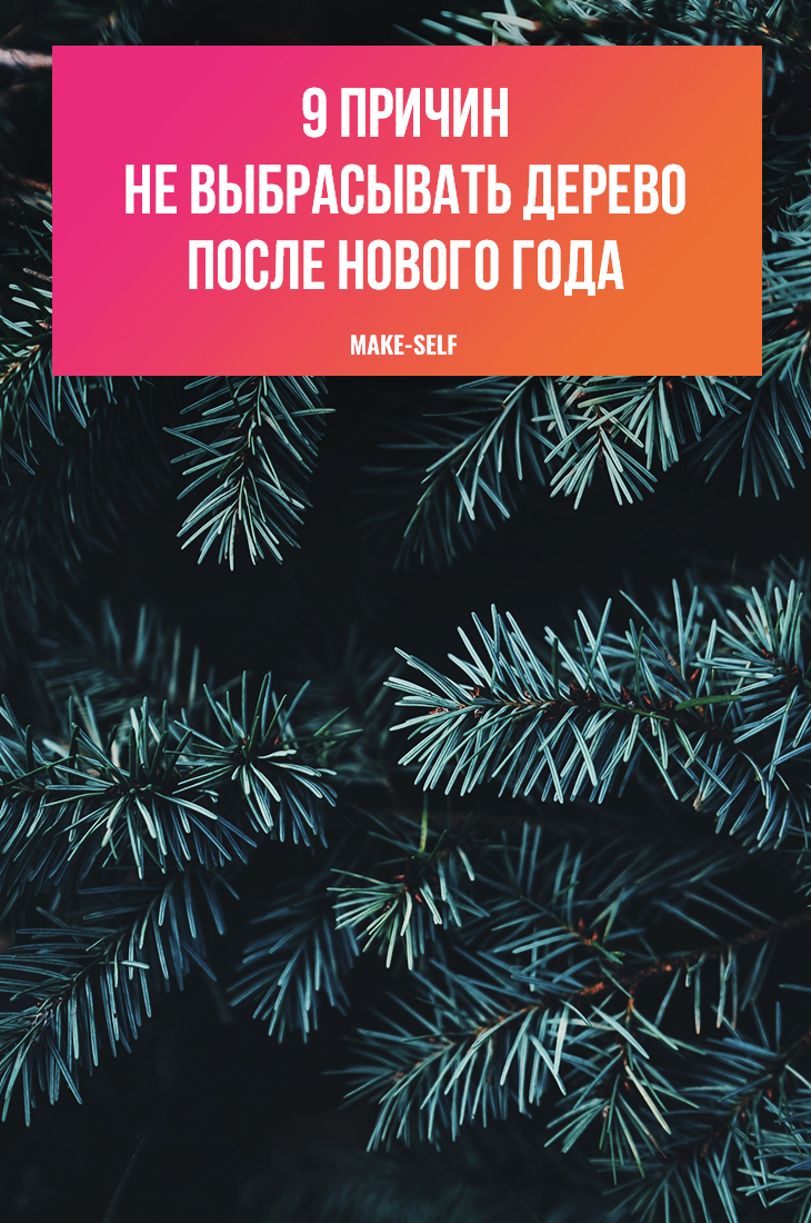 9 Причин не выбрасывать дерево после Нового года