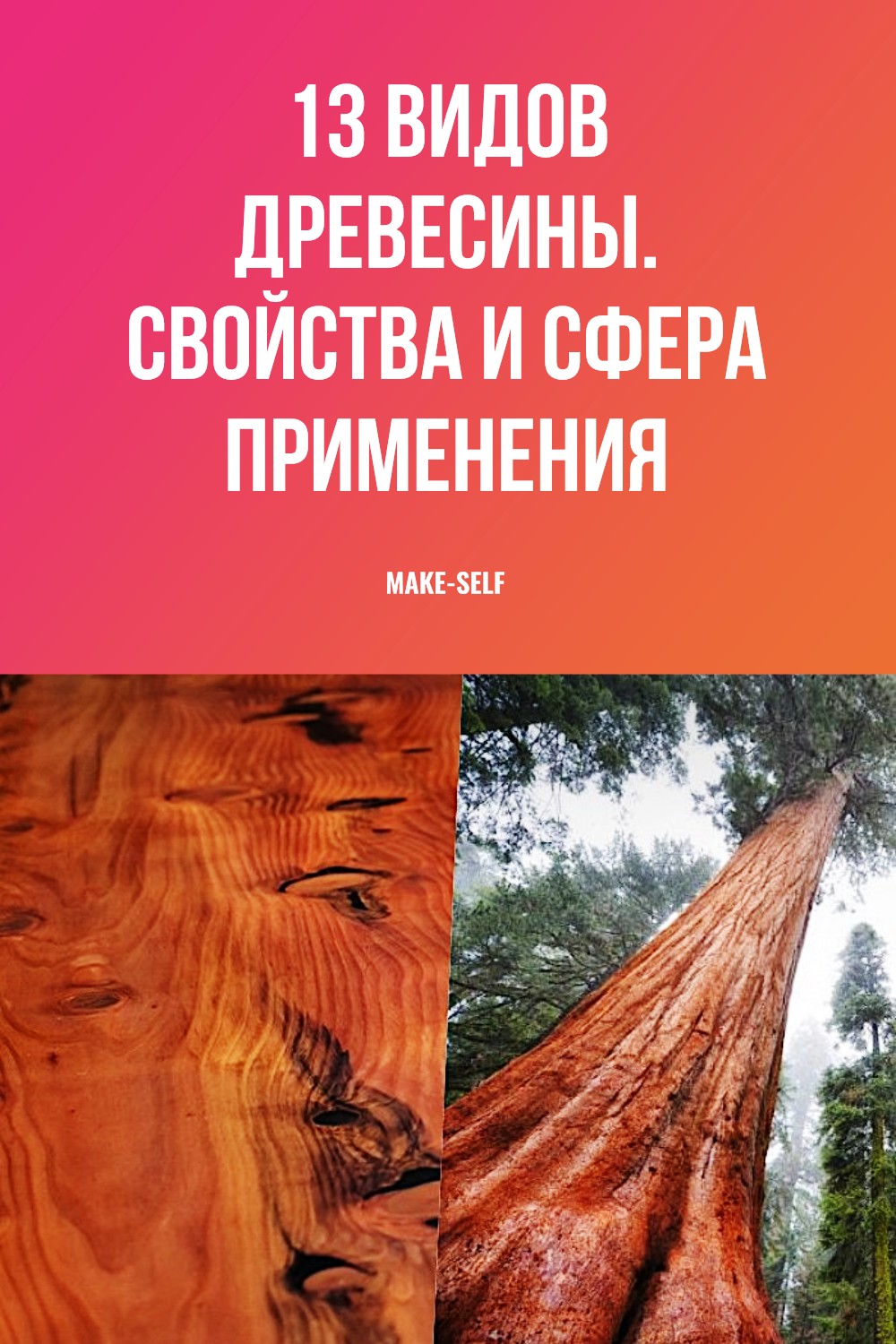 13 Видов древесины. Свойства и сфера применения