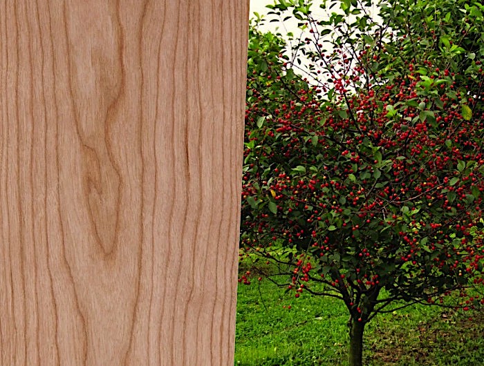 13 Популярных видов древесины. Свойства и сфера применения
