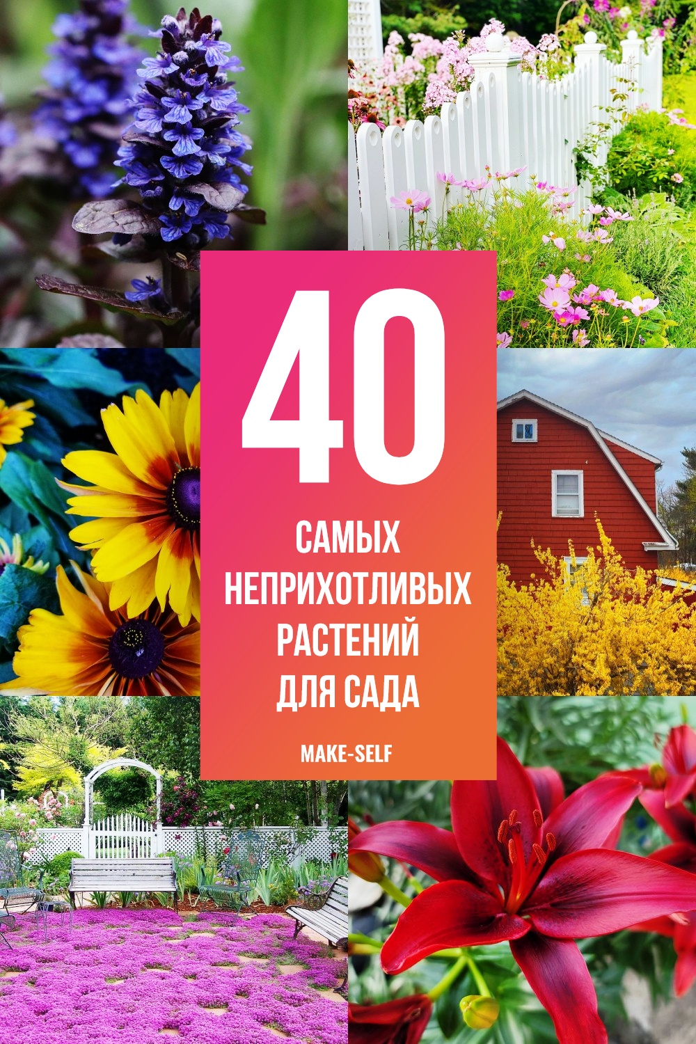 40 Самых неприхотливых растений для сада