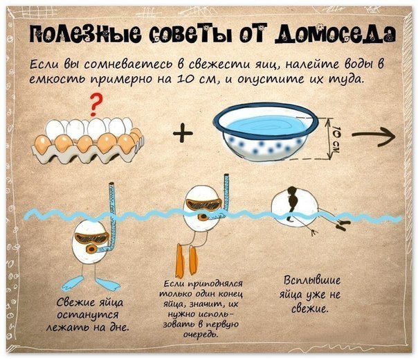 10 Полезных советов домохозяйке