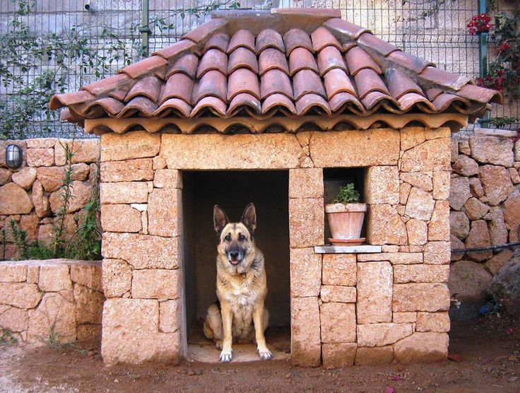 doghouse