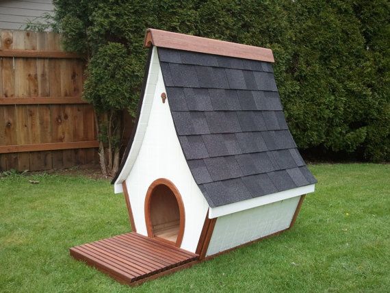 doghouse