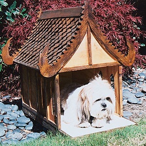 doghouse