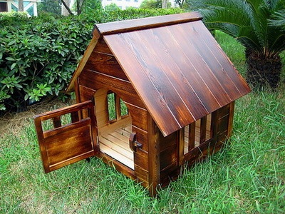 doghouse