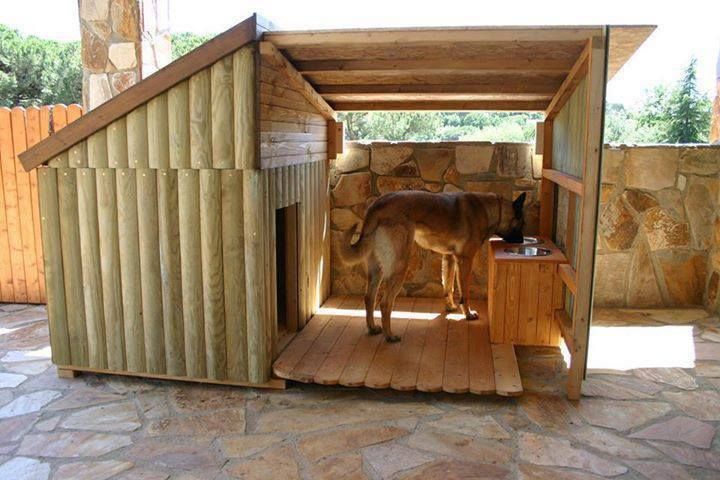 doghouse