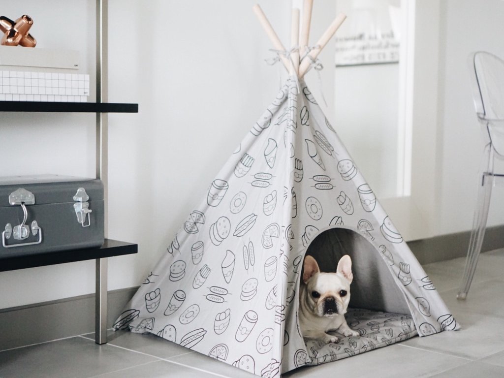 25 Спальных мест для собаки в современном интерьере