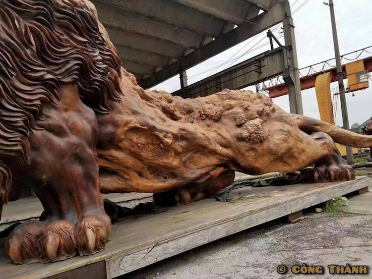 Гигантский лев, вырезанный из единого ствола дерева 
